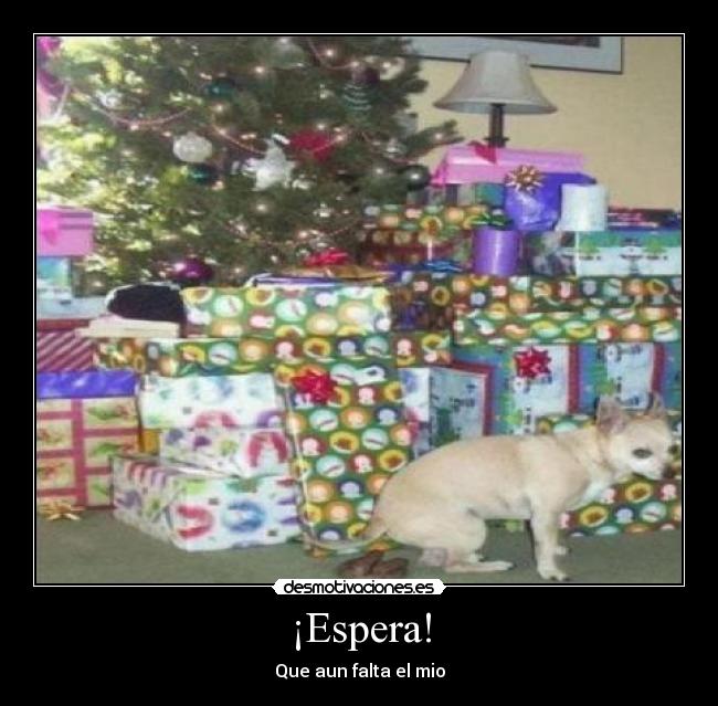 carteles perros desmotivaciones