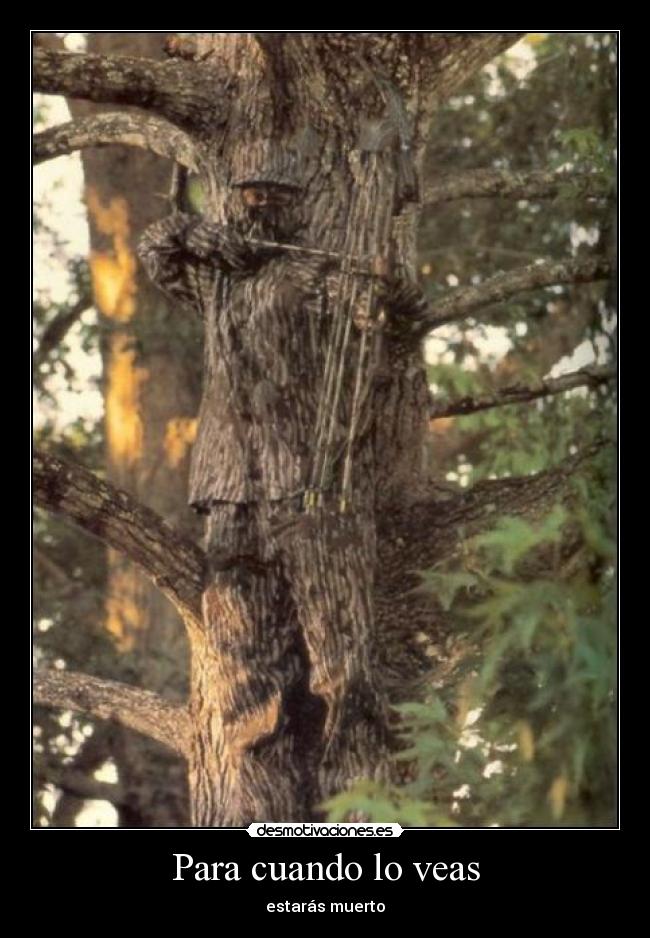 Para cuando lo veas -