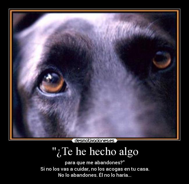 ¿Te he hecho algo -