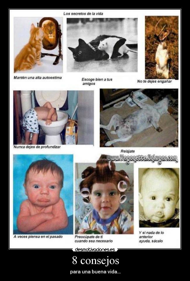 8 consejos -