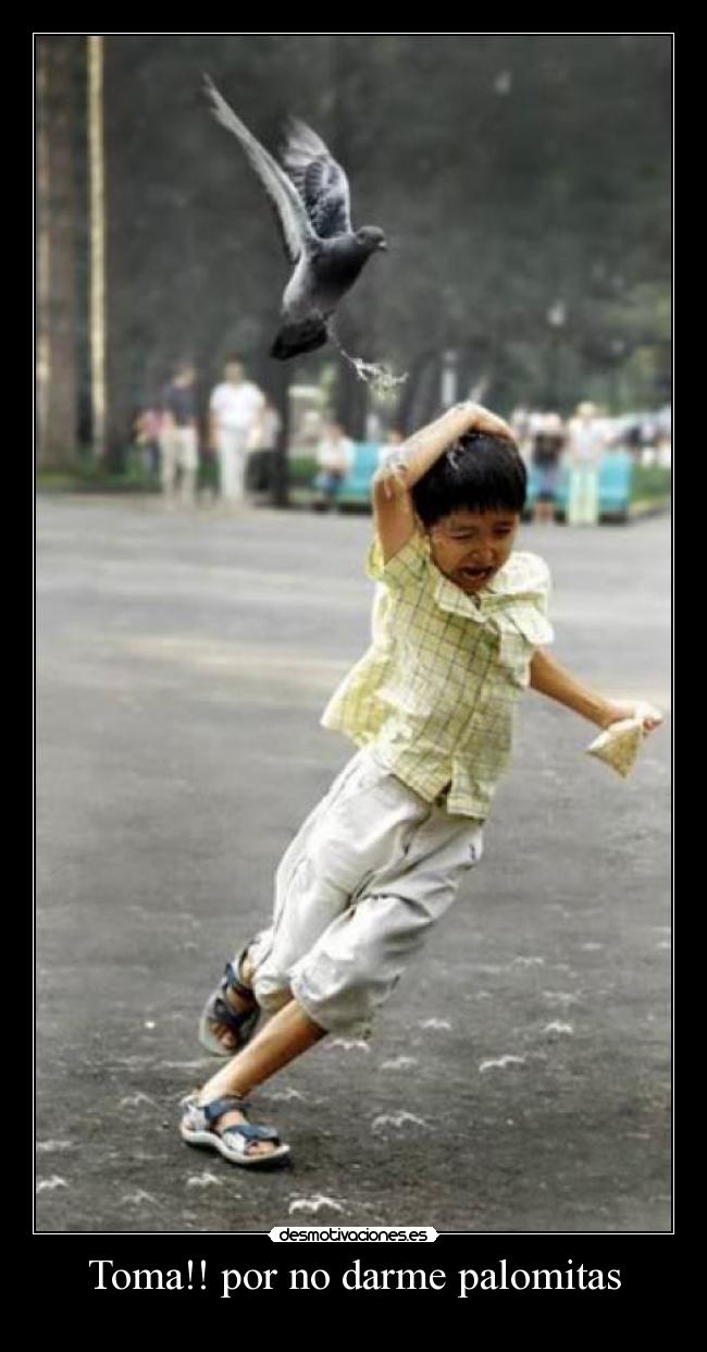 carteles toma por darme palomitas desmotivaciones