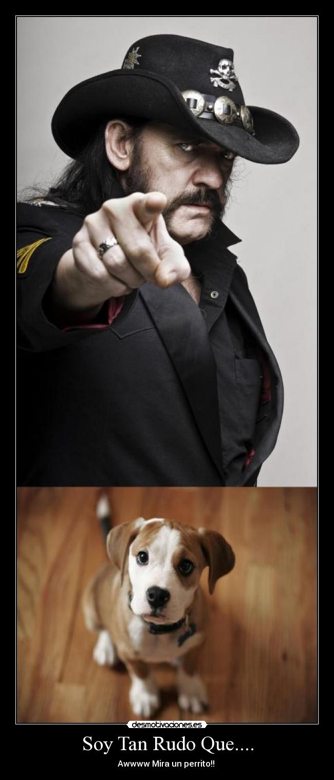 Soy Tan Rudo Que.... - 