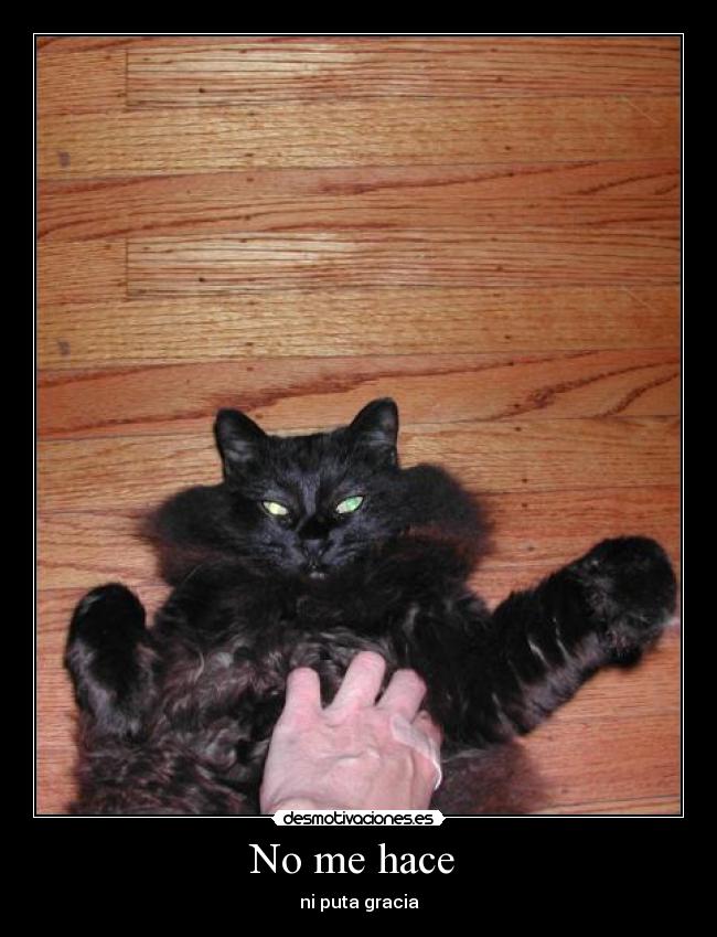 No me hace  - 