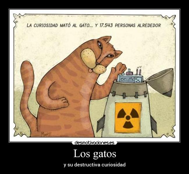 Los gatos -