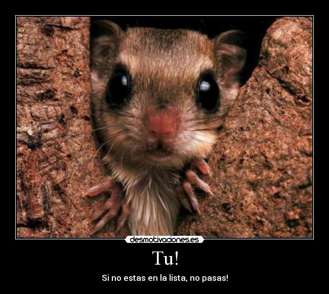 Tu! - Si no estas en la lista, no pasas!