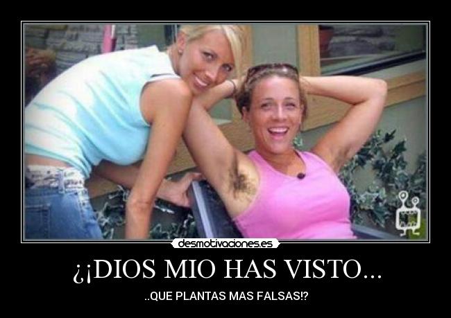 carteles dios lol desmotivaciones