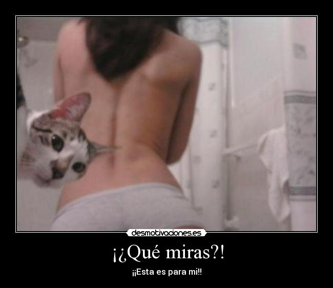 ¡¿Qué miras?! -