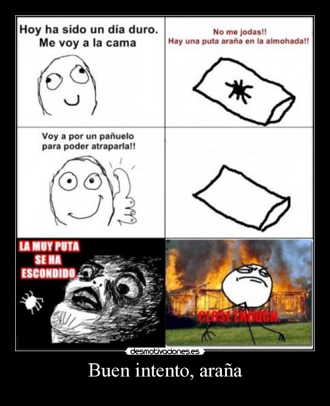 Buen intento, araña - 