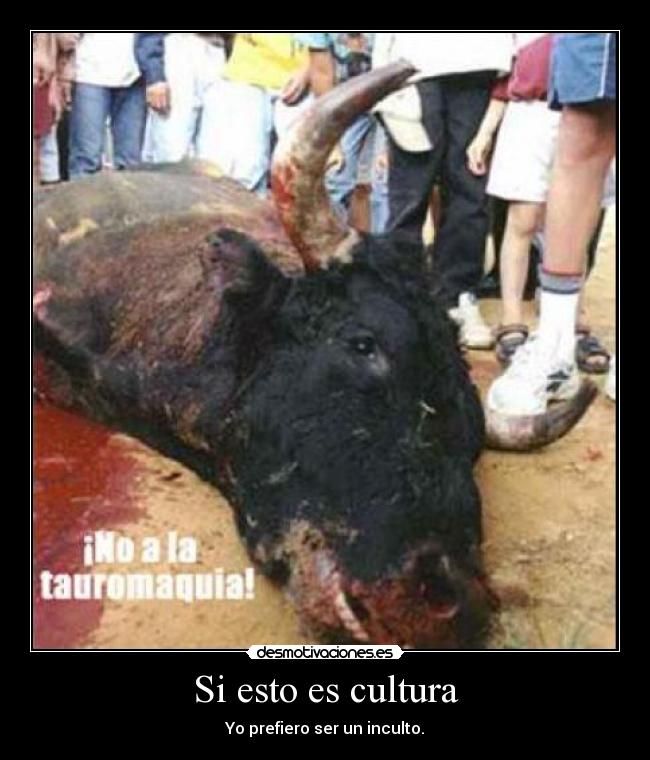 Si esto es cultura - 