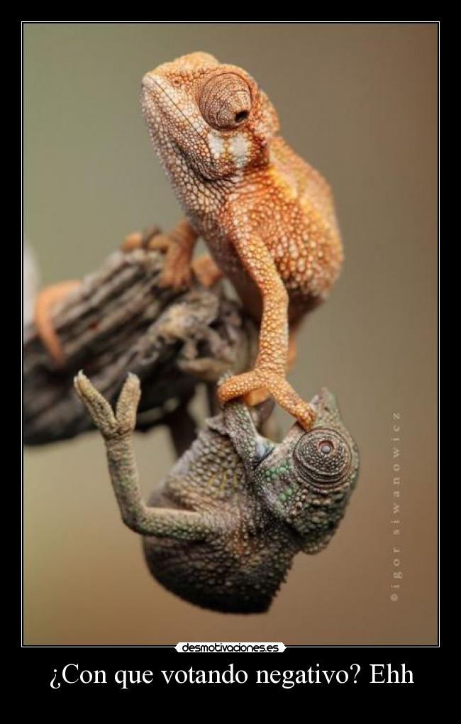¿Con que votando negativo? Ehh -