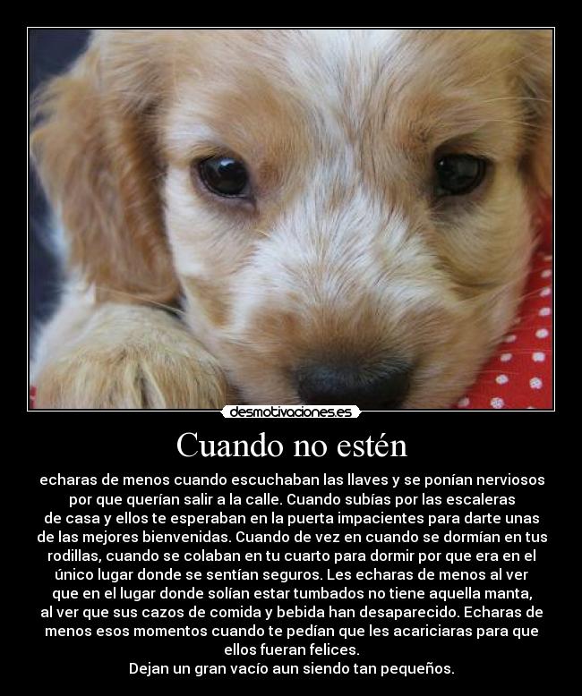 carteles perro gato mascota amor melancolia echar menos bonito desmotivaciones