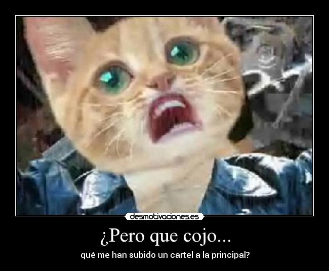 ¿Pero que cojo... - qué me han subido un cartel a la principal?