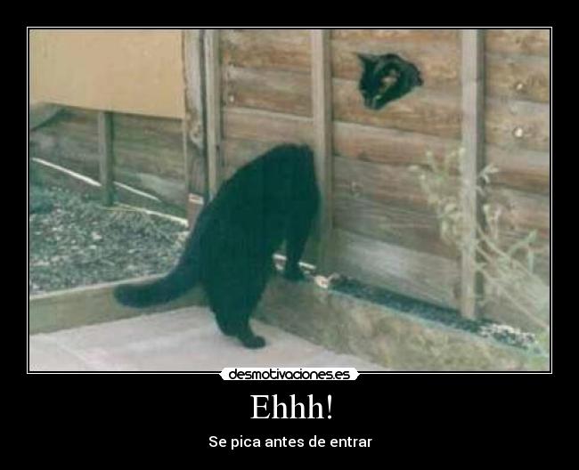 Ehhh! - Se pica antes de entrar