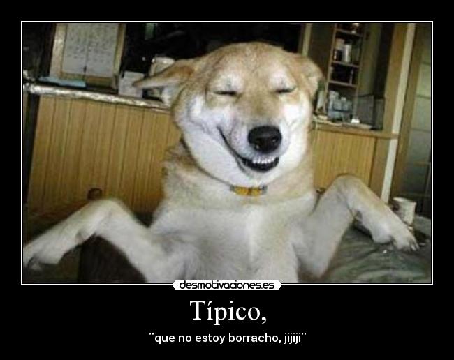 Típico, - 