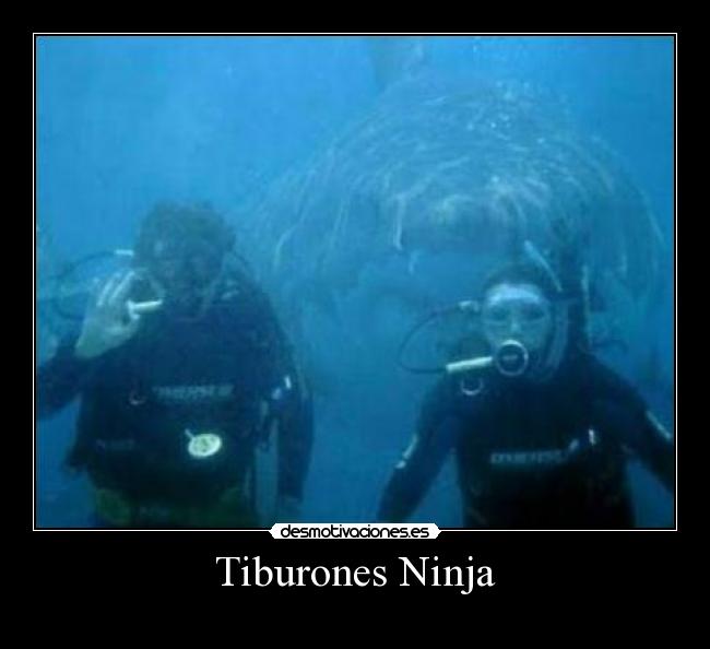 Tiburones Ninja -