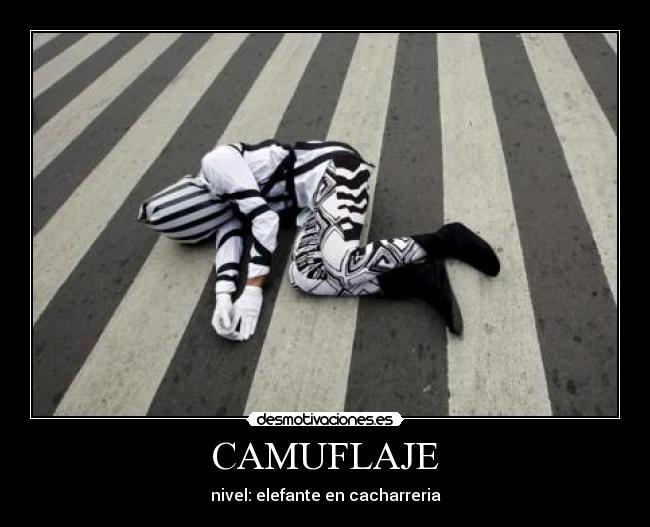 CAMUFLAJE - 