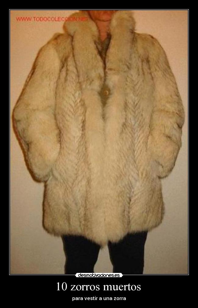 10 zorros muertos  - 