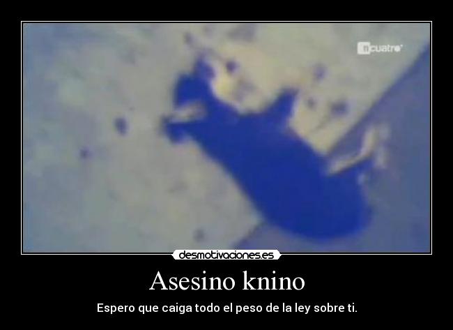 Asesino knino - Espero que caiga todo el peso de la ley sobre ti.