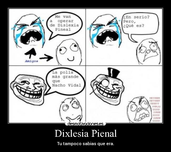 Dixlesia Pienal - Tu tampoco sabias que era.