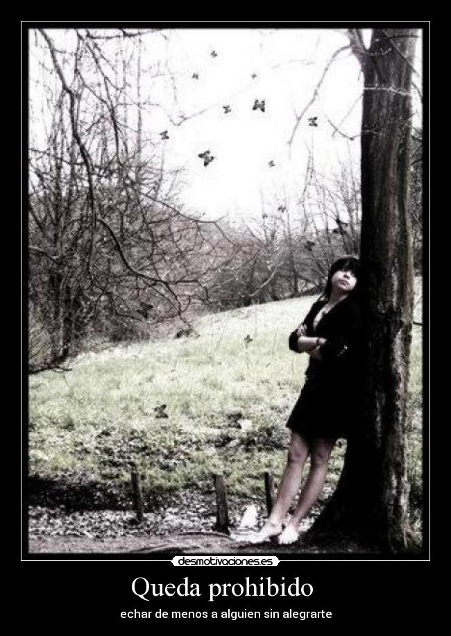 Queda prohibido  - echar de menos a alguien sin alegrarte