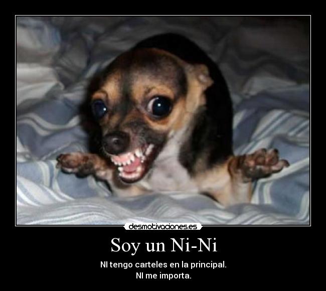 carteles chihuaha nini principal caca desmotivaciones