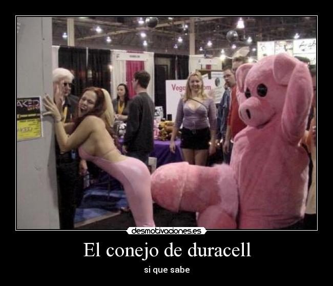 El conejo de duracell - si que sabe