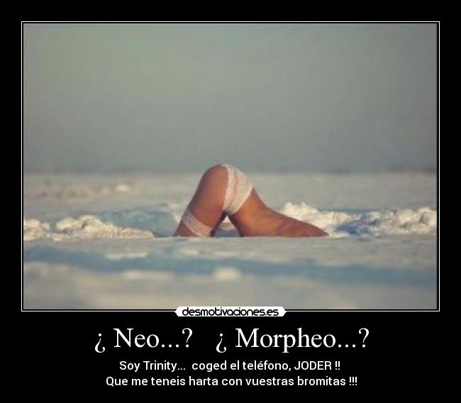 ¿ Neo...?   ¿ Morpheo...? - Soy Trinity...  coged el teléfono, JODER !! 
Que me teneis harta con vuestras bromitas !!!