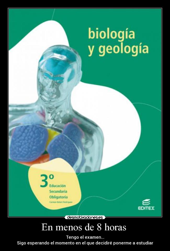 En menos de 8 horas -