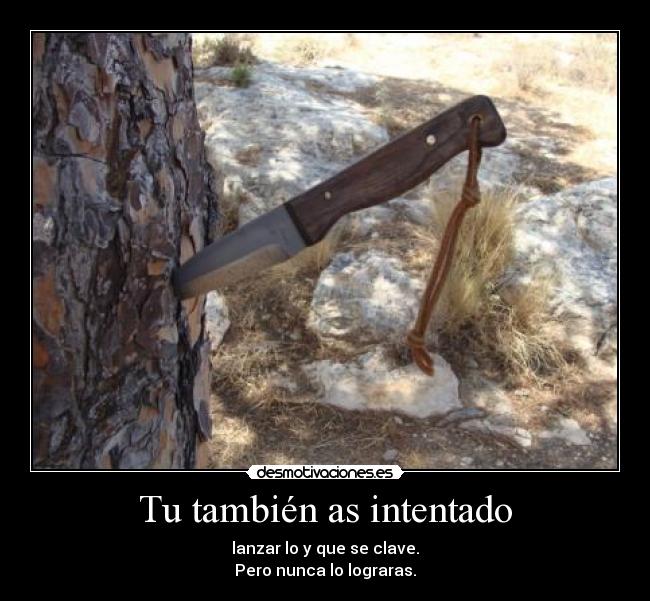 Tu también as intentado -