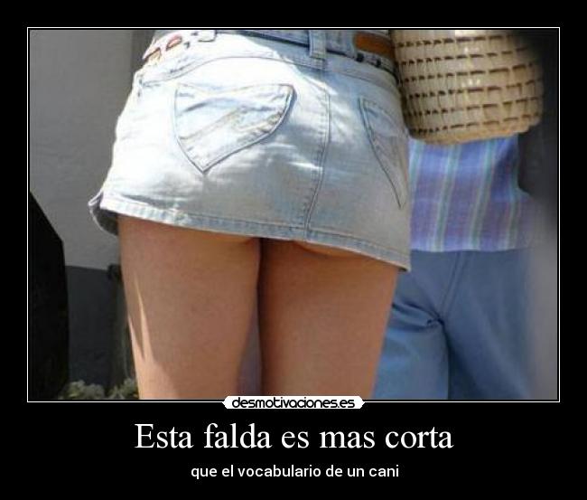 Esta falda es mas corta - que el vocabulario de un cani