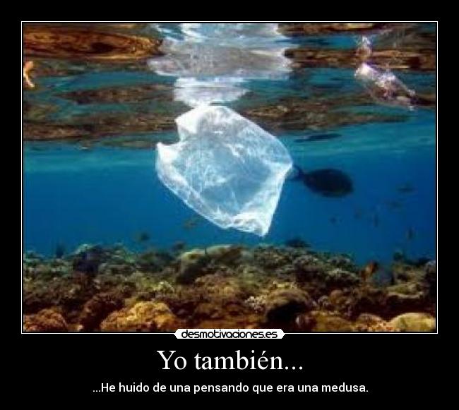 Yo también... - ...He huido de una pensando que era una medusa.