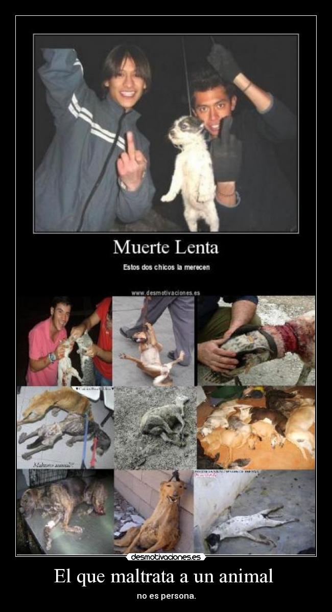 El que maltrata a un animal -