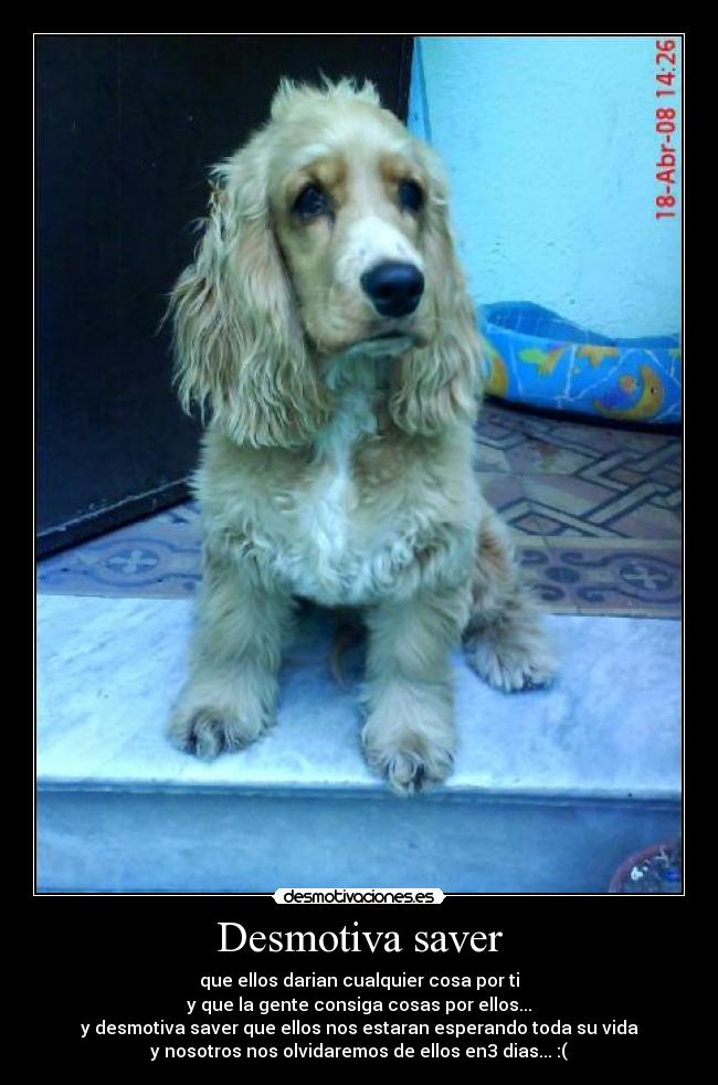 Desmotiva saver - que ellos darian cualquier cosa por ti
y que la gente consiga cosas por ellos...
y desmotiva saver que ellos nos estaran esperando toda su vida
y nosotros nos olvidaremos de ellos en3 dias... :(