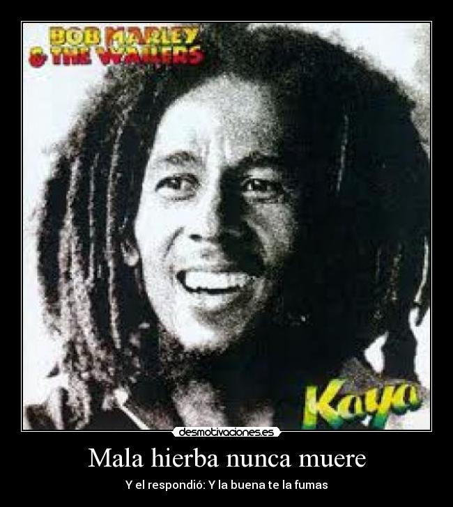 Mala hierba nunca muere -