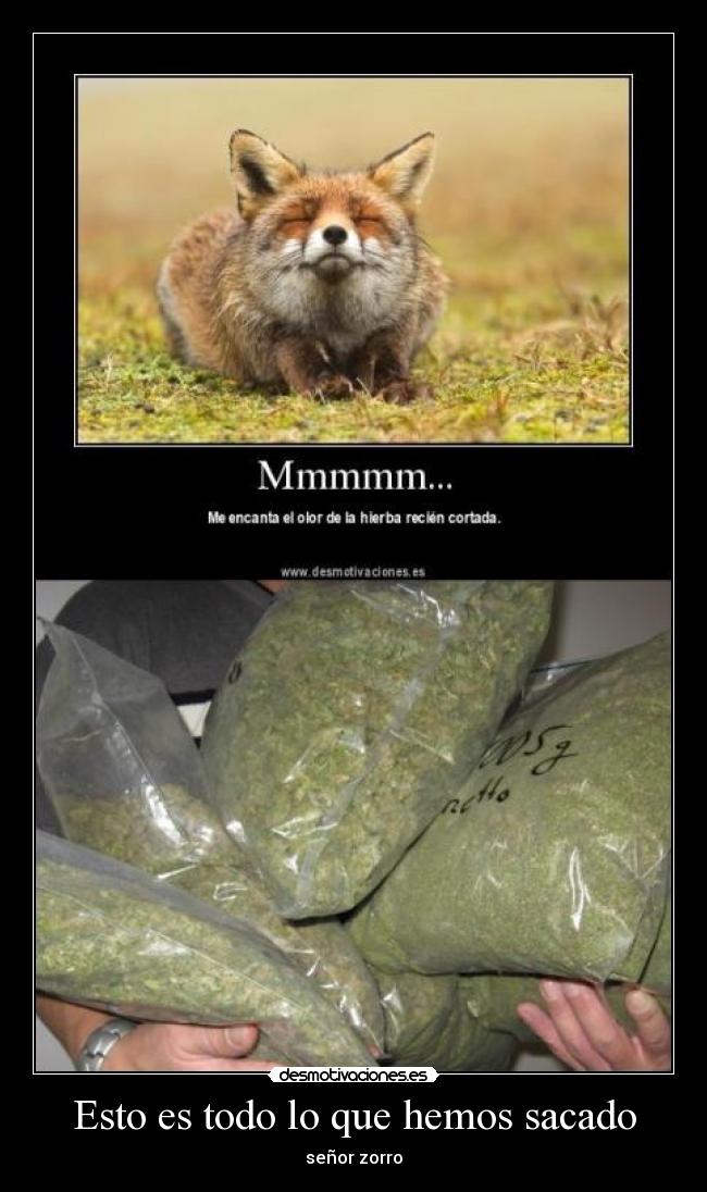 Esto es todo lo que hemos sacado -