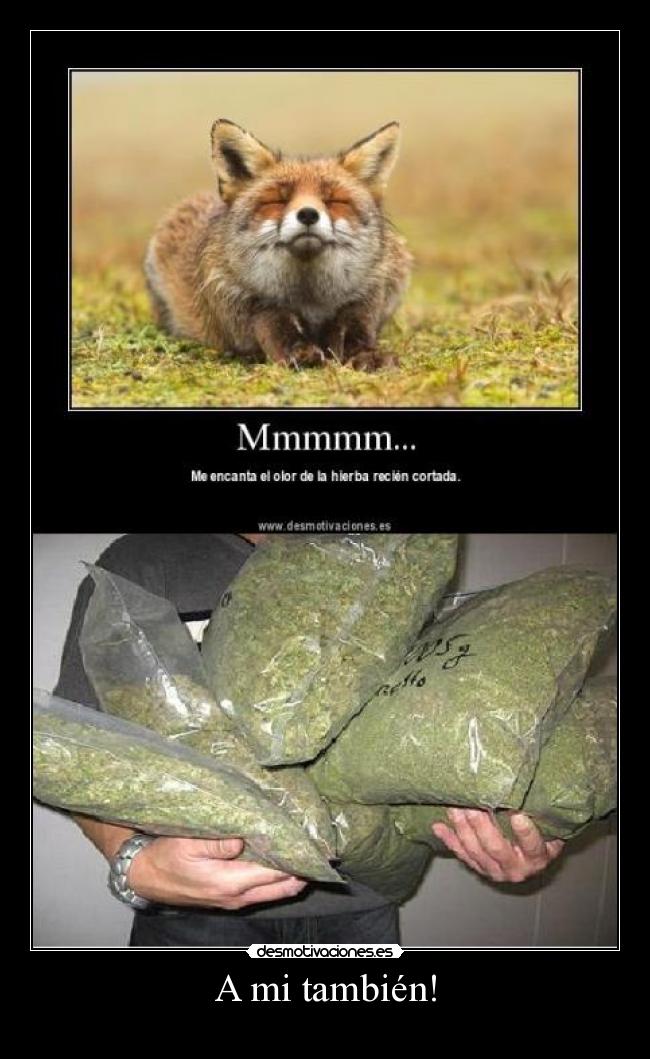 A mi también! -
