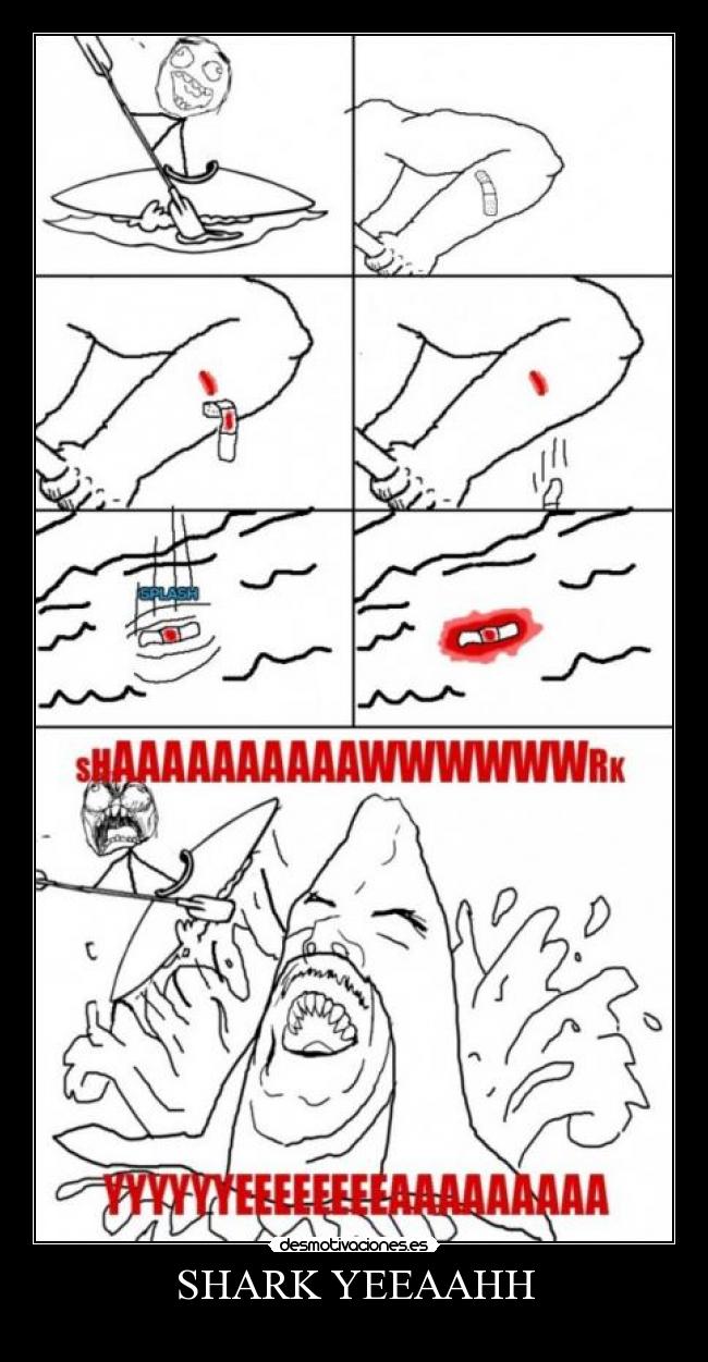 SHARK YEEAAHH -