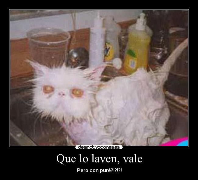 Que lo laven, vale - Pero con puré?!?!?!