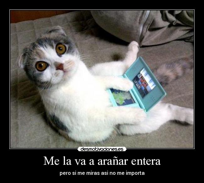 Me la va a arañar entera -