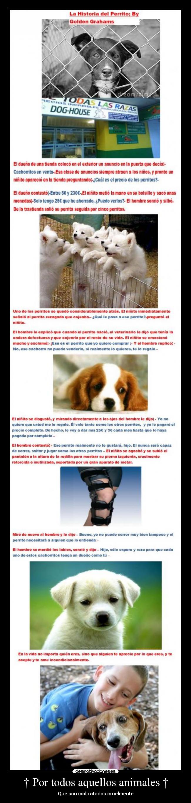 † Por todos aquellos animales † -