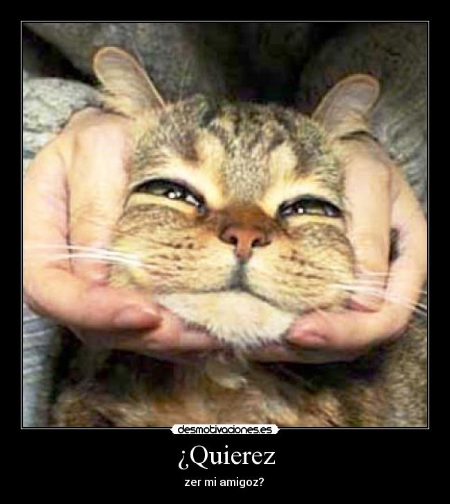 ¿Quierez - zer mi amigoz?