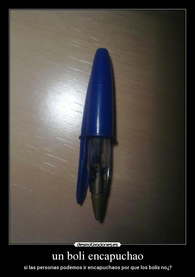 un boli encapuchao - si las personas podemos ir encapuchaos por que los bolis no¿?