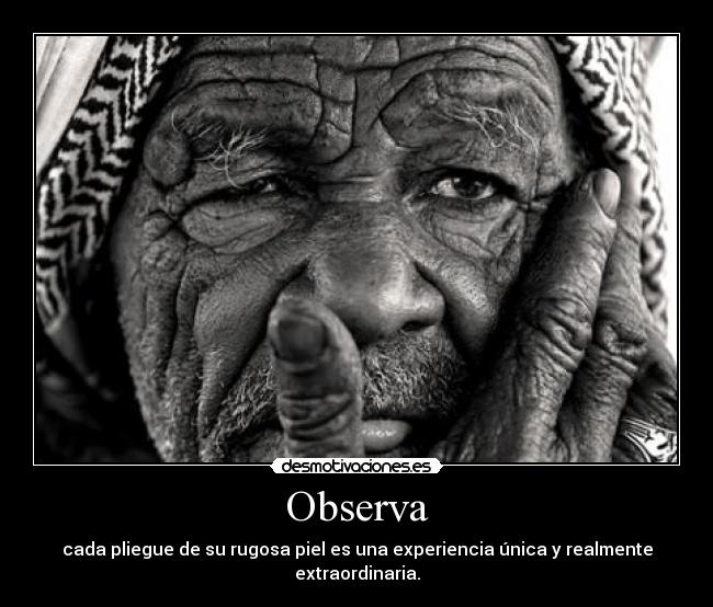 Observa - cada pliegue de su rugosa piel es una experiencia única y realmente extraordinaria.