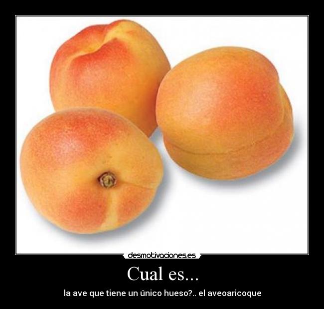 Cual es... - 