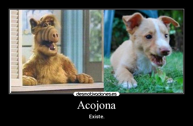 Acojona -