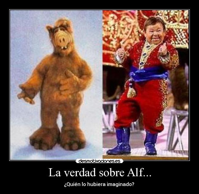 La verdad sobre Alf... - ¿Quién lo hubiera imaginado?