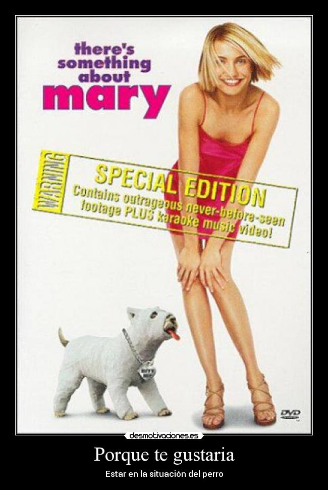 Porque te gustaria - Estar en la situación del perro