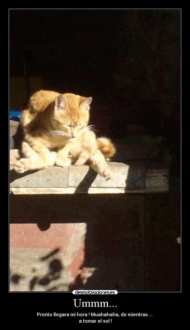 Ummm... - Pronto llegara mi hora ! Muahahaha, de mientras ...
a tomar el sol !