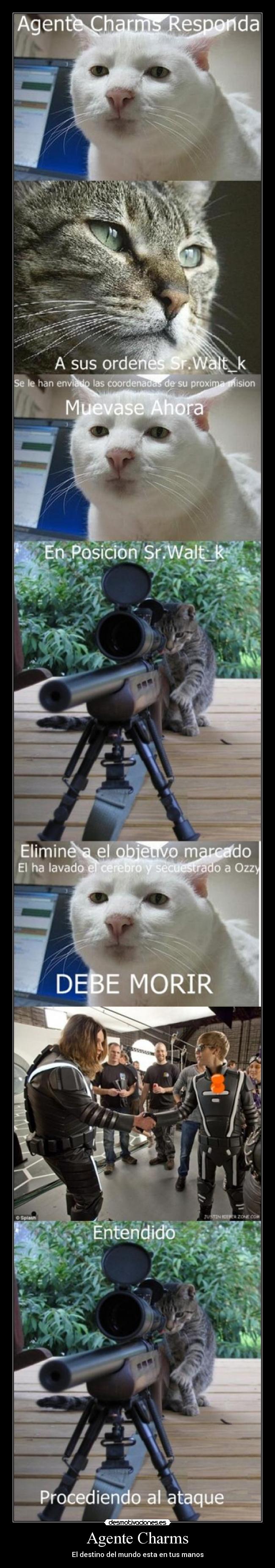 carteles asesinato justin bieber desmotivaciones