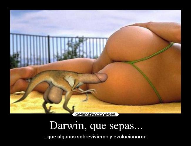 Darwin, que sepas... - 